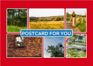 Postkarte zur Ausstellung 'Posrcard for you'