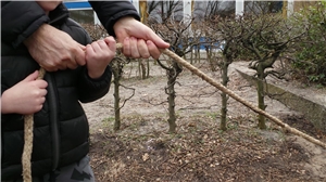 Vateraktion 2 - 001 - 2017_03_21 Vater Aktion Carl Sonnenschein Haus C Tittel (18) Vateraktion 2 - 001 - 2017_03_21 Vater Aktion Carl Sonnenschein Haus C Tittel (18)