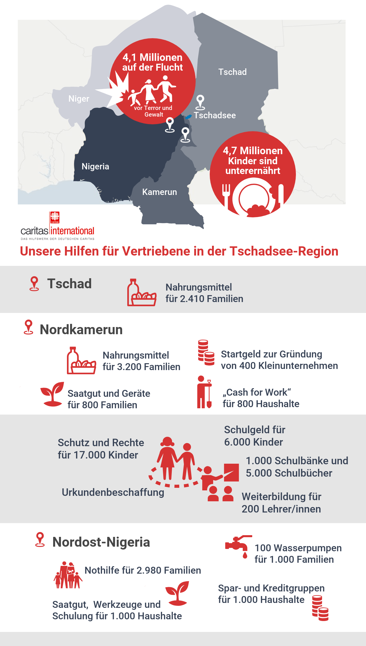 Infografik zur Situation in der Region rund um den Tschadsee