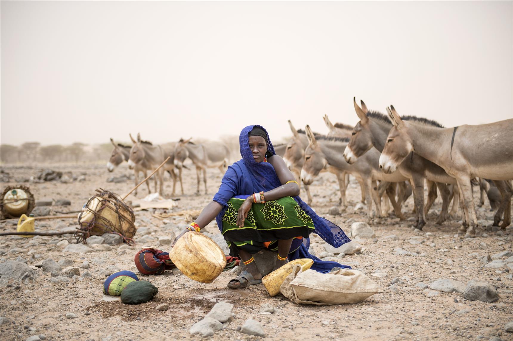 Frau mit Wassergefäßen und Eseln in staubiger Region