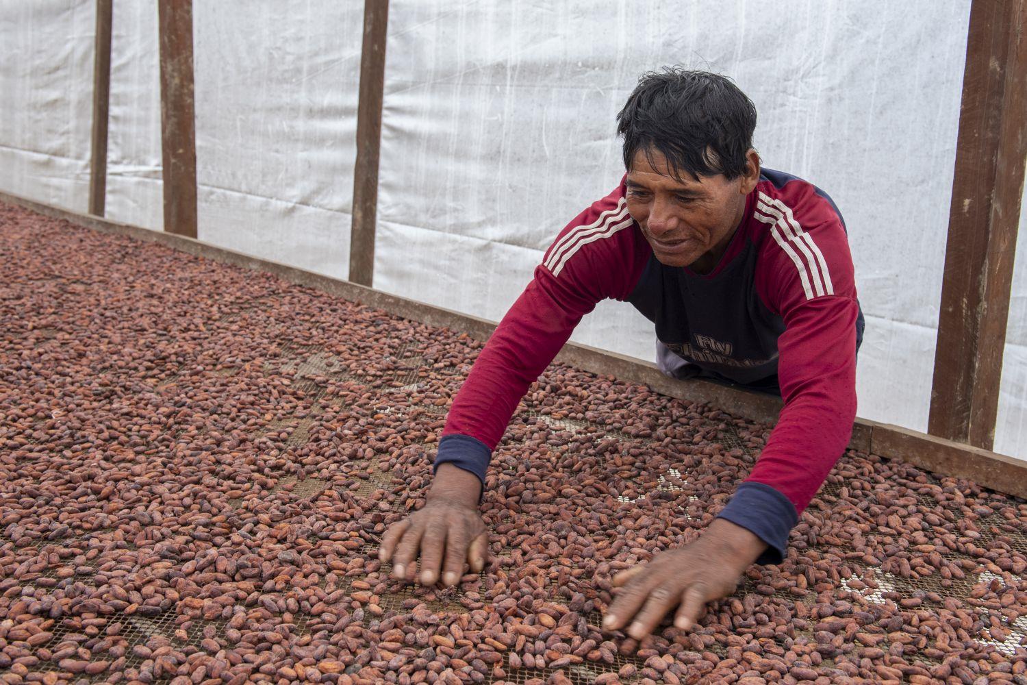 Während seiner Reise besucht Dariush Ghobad die Genossenschaft COOPSSUR. Dort werden unter anderem in einer Anlage Kakaobohnen fermentiert.