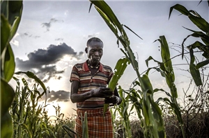 Uganda: Farmer