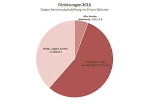 Förderungen 2016 Die Grafik zeigt in einem Tortendiagramm den Anteil der Förderungen.