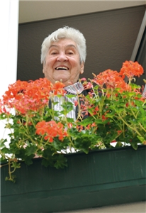 Alte Frau schaut über einem Blumenkasten aus einem Fenster