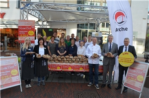 Lingen Innenstadt Lingen Innenstadt