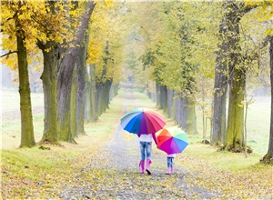 Rückenansicht von einer Frau und einem Kind, beide mit buntem Regenschirm, die Hand in Hand eine Baumallee entlang gehen.