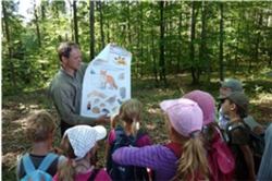 Kinder lernen im Wald die Pflanzen und Tierwelt kennen