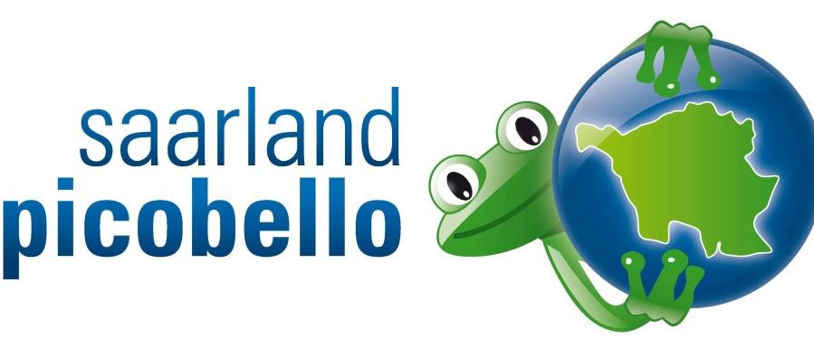 Picobello 2024 Logo