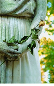 Stralsund Hospiz Steinerner Engel mit Rose