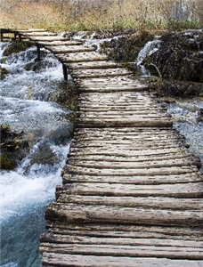 Die Allgemeine Lebensberatung Bild eines Holzstegs, dieser führt über einen kleinen Fluss.