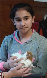 Tierhof Flüchtlingsarbeit 2 ein Junge hält ein Meerschweinchen im Arm