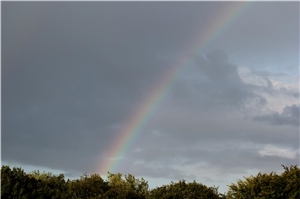 Regenbogen Regenbogen