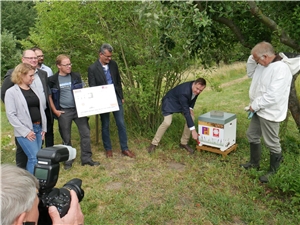 Bienenstock Bienenstock
