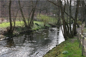 Nettetal Die Nette bei Knollmeyers Mühle