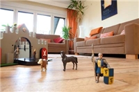 Heilpädagogisches Kinderdorf Biesfeld Ein freundlicher, heller Raum mit Sofa, Ritterburg und Ritterspielfiguren