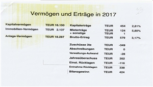 Vermögen und Erträge in 2017 Auflistung des Vermögens und der Erträge im Jahr 2017
