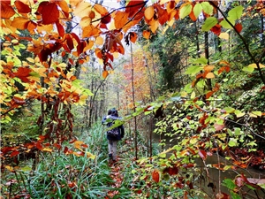 Naturchecker1 Kind im herbstlichen Wald