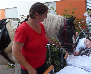 Eine bettlägerige Frau füttert ein Pferd. Eine bettlägerige Frau füttert ein Pferd.