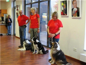 Hundeführer und ihre Hunde stellen sich vor. Hundebesuch 2