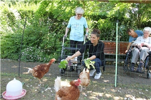 Lucia Agnello füttert Hühner mit Salat