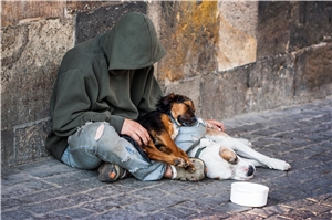 Obdachloser mit zwei Hunden