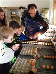 Bauernhof_1 Die Kinder bestaunen Eier.
