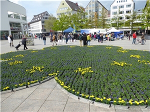 Blumenmeer auf Ulmer Münsterplatz