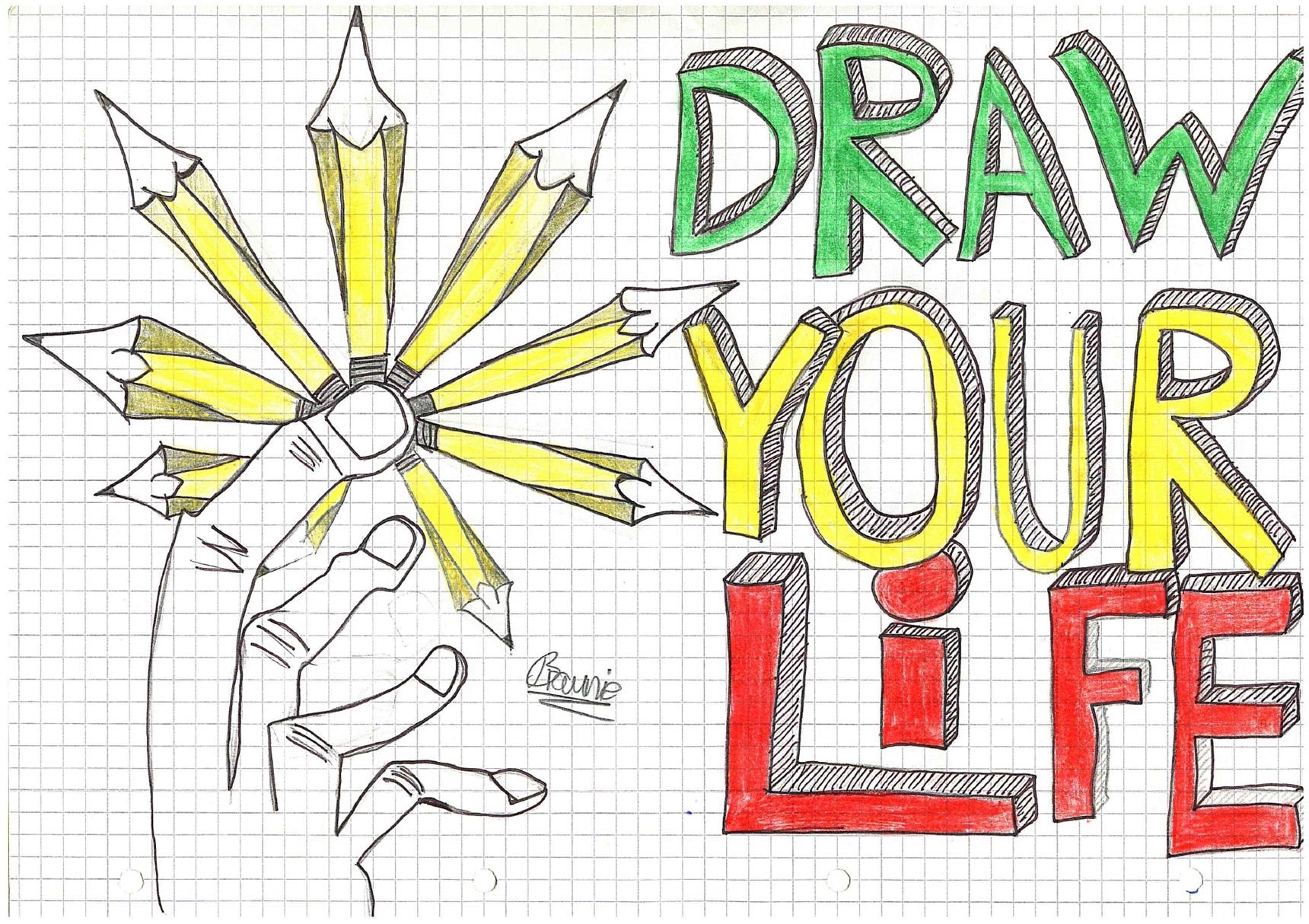 Switch 2017 4 draw your life 