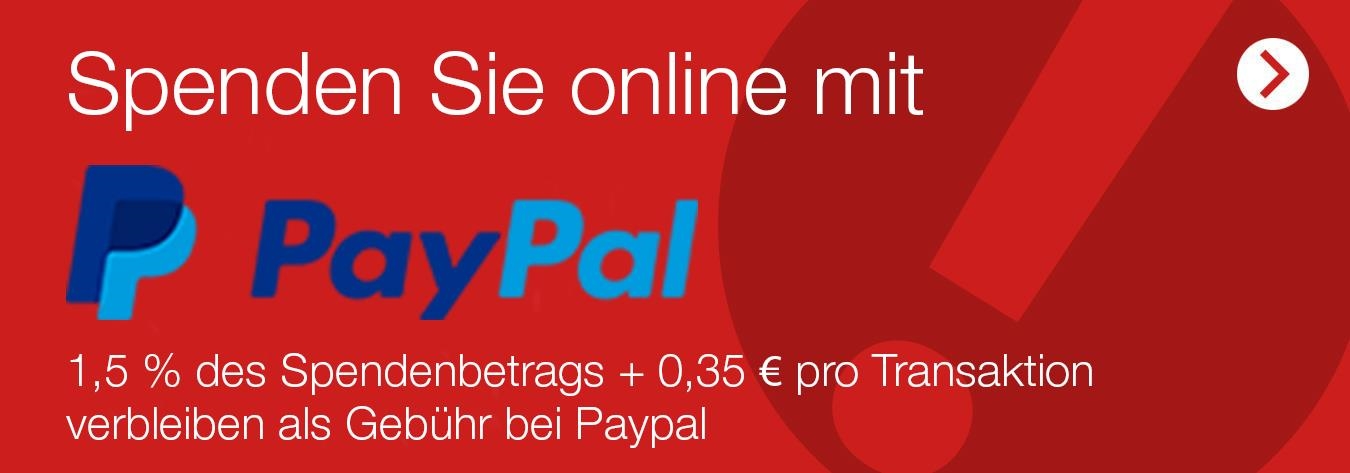 Webbanner Paypal