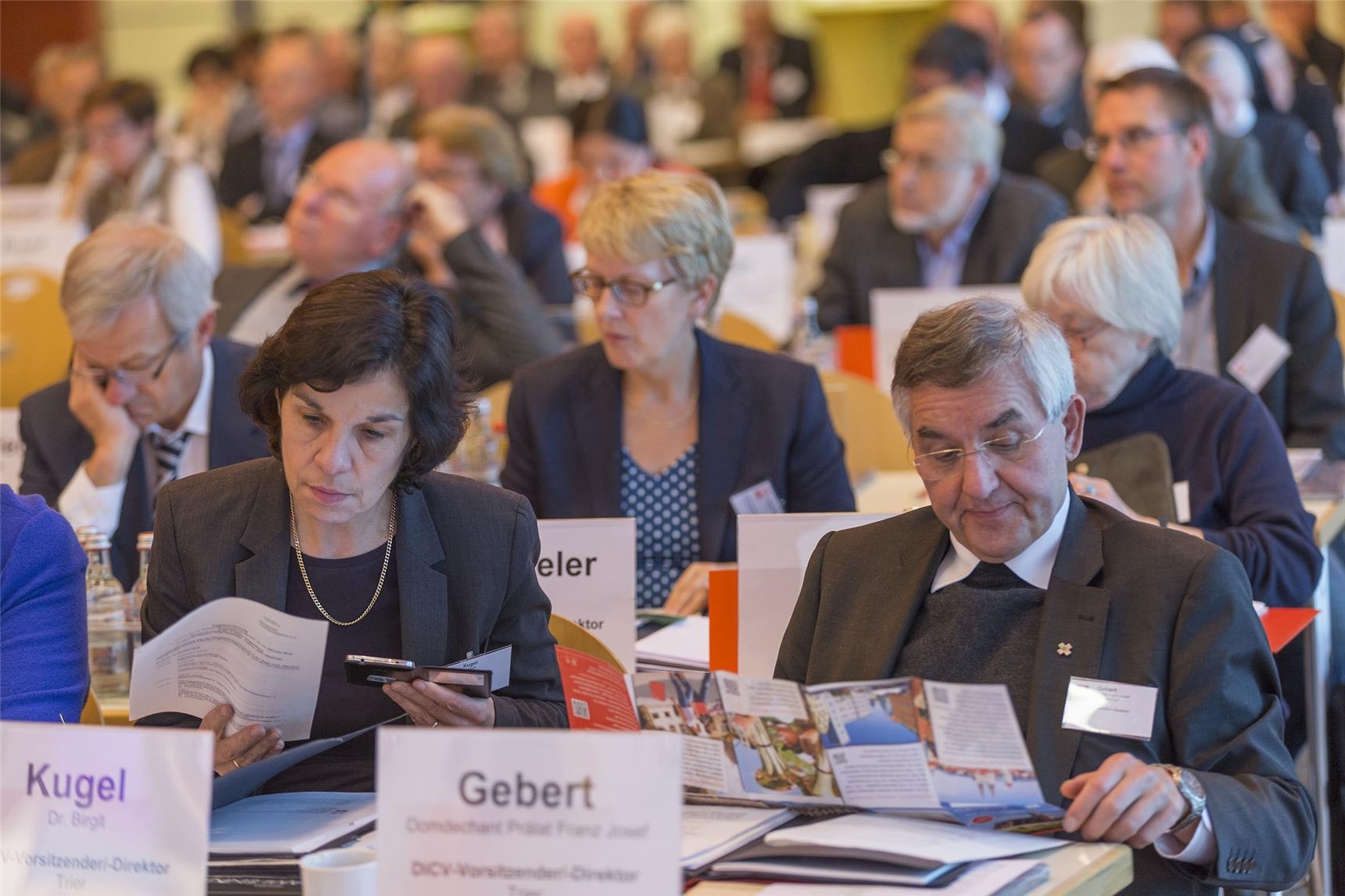 Delegierte bei der Delegiertenversammlung des Deutschen Caritasverbandes 2015 in Regensburg (Moosburger/DCV)