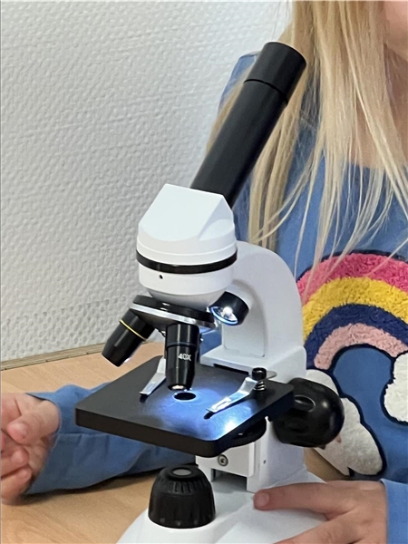 Kinderhände an einem Mikroskop
