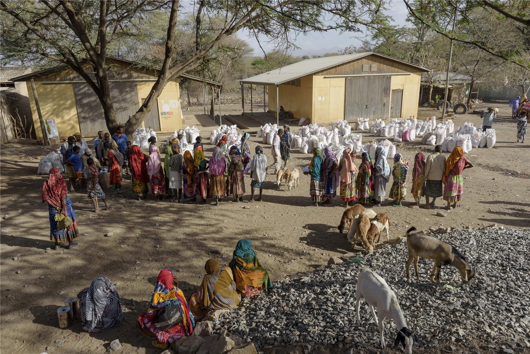 Menschenmenge und Ziegen in Äthiopien (Christoph Gödan)