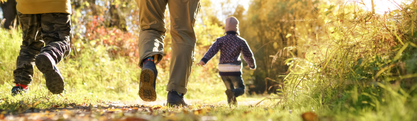 Header Familienerholung: Ein Waldweg, Die gehenden Beine eines Vaters, seines Sohnes, und weiter weg läuft die Tochter.