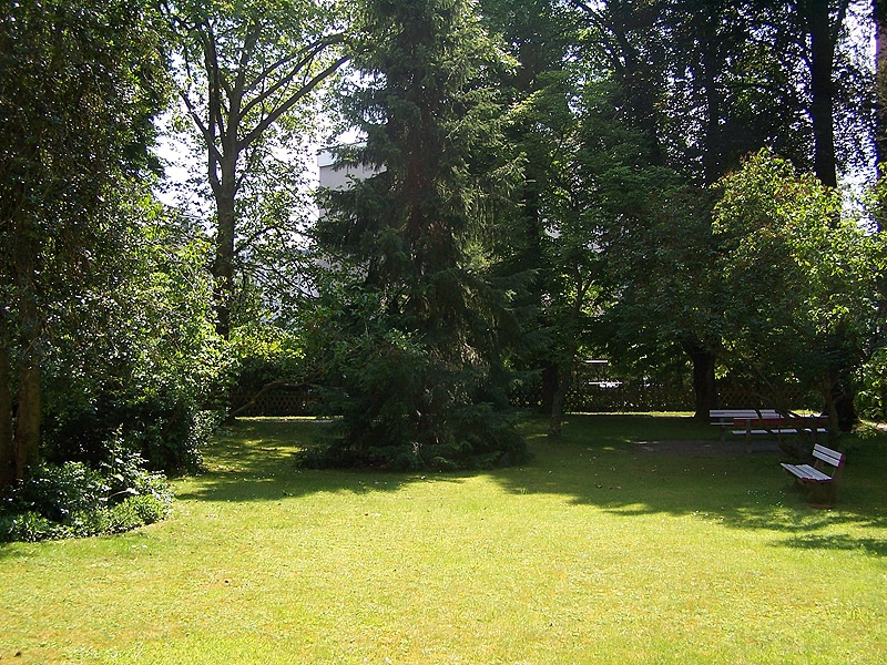 Sonnige lindgrüne Rasenfläche mit hohem alten Baumbestand gesäumt. 