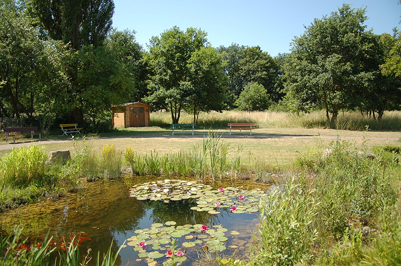 Weitläufiger und naturnaher Garten mit Seerosen und Fischen im Teich laden ins Freie ein. 