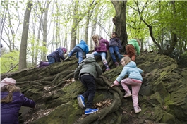 Mehrere Kinder klettern im Wald einen Felsen hoch / Dietmar Wäsche