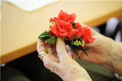 HOP_7943 Blumen in der Hand eines alten Menschen