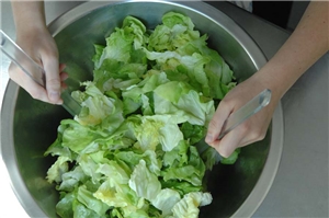 grüner Salat in einer Schüssel