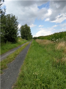 Was kann weg? Was kann weg?
