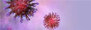 Coronavirus Bild des Virus