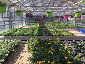 20180427_gartenzwerk_Aktion_002 20180427_gartenzwerk_Aktion_002