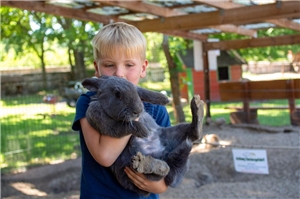 Junge mit Kaninchen auf dem Arm