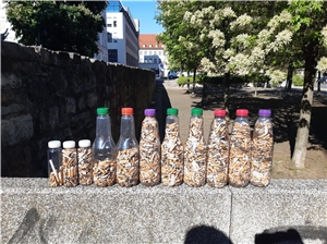 Plastikflaschen mit Zigarettenstummel gefüllt