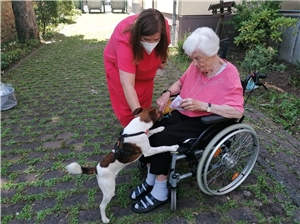 Eine Dame im Rollstuhl wird von einem kleinen Hund begrüßt. Daneben steht eine weitere Dame.