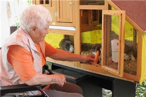 Eine Seniorin f�ttert das Kaninchen mit einer M�hre