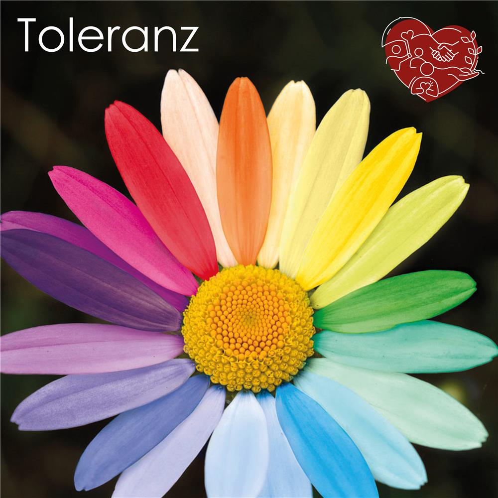 Werte - Toleranz