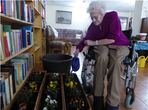 Seniorin gießt die frisch eingepflanzten Blumen