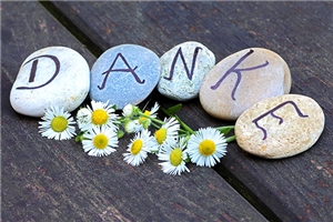 Das Wort Danke auf 5 verschiedene Kieselsteine verteilt, davor Gänseblümchen