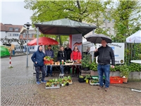 Menschen an Verkaufsstand mit Pflanzen vor Tagesklinik Dieburg