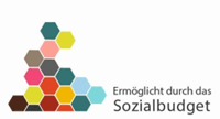 Logo mit Wabenmuster und dem Schriftzug "Ermöglicht durch das Sozialbudget"